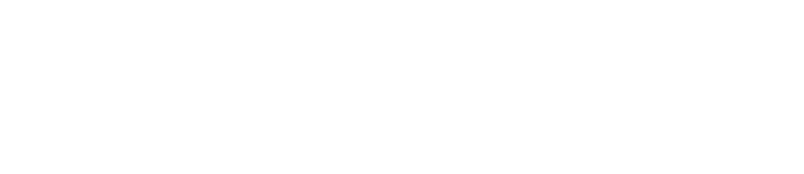 Senat der Wirtschaft logo